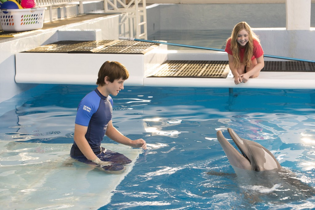 Dolphin Tale 2 4