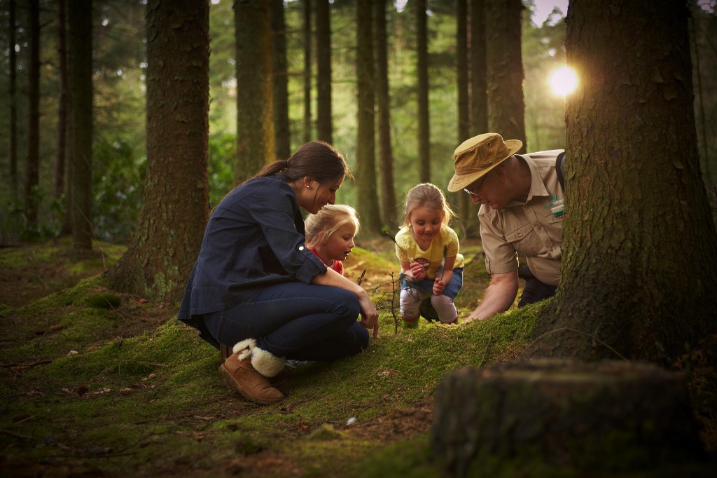 Family Photo Forest 1