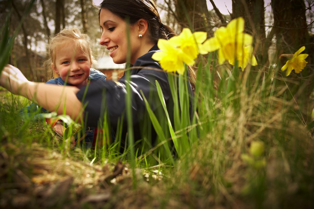 Family Photo Forest 2