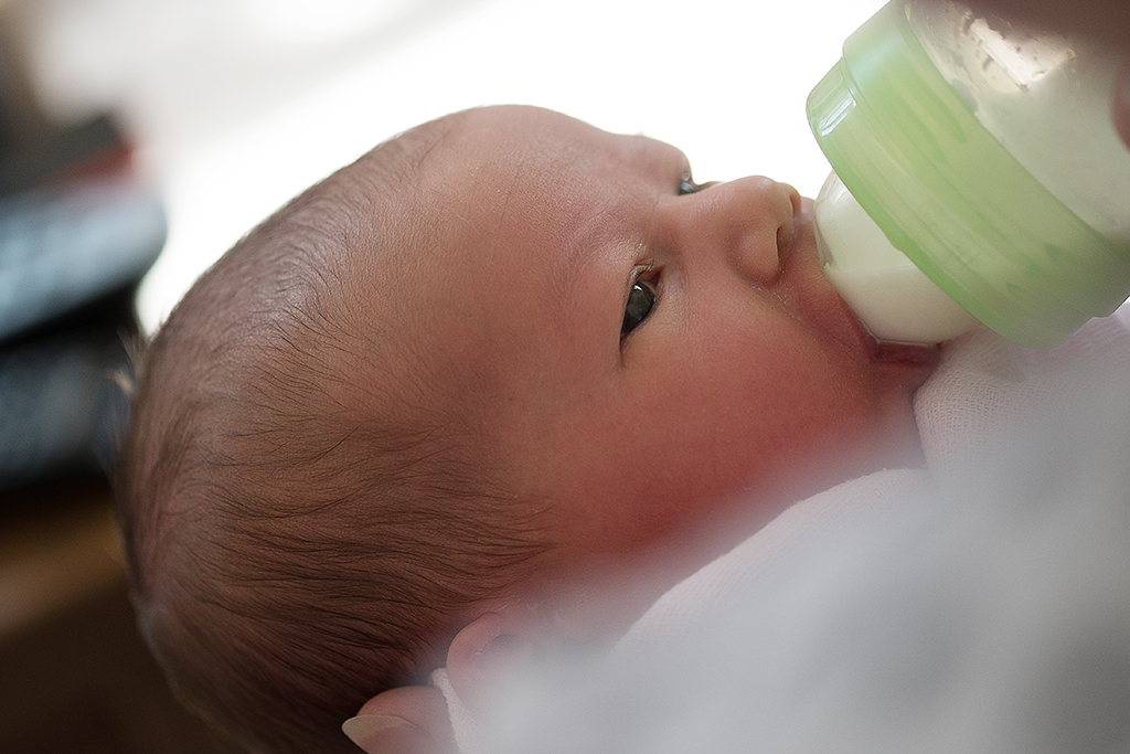 bottle fed babies