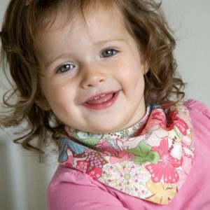 Dribblebuster MauveyLS900