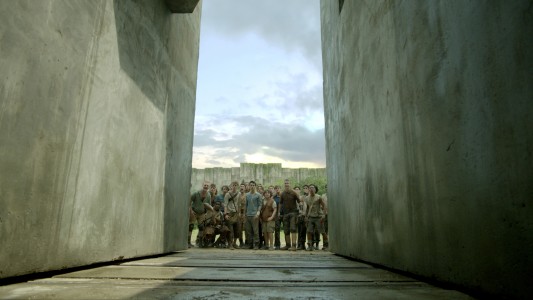 THE MAZE RUNNER