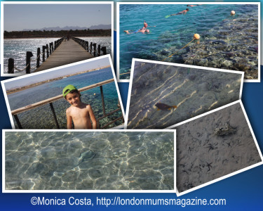 Hurghada coral reef londonmumsmagazine.com
