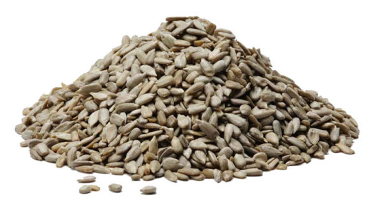 Sunflower seeds