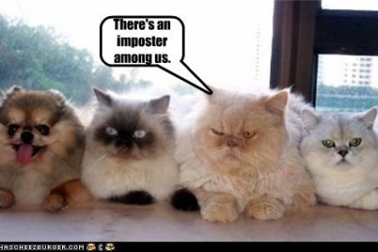 cats