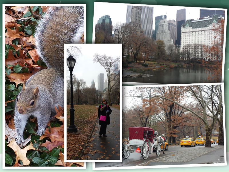 New York Central Park collage