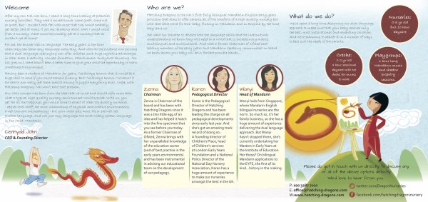 hatching dragons Marketing Brochure