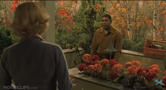 Gardens on the big screen far from heaven