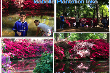 Isabella Plantation