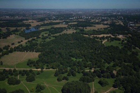 Richmond Park - Luke Massey