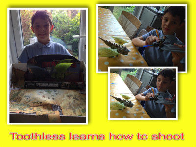 Toothless learns how to shoot
