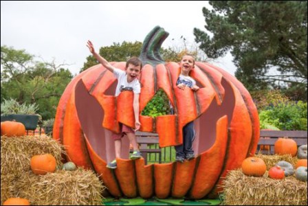 Halloween Half Term chessington halloween Giant-Pumpkin-Photo-Opp