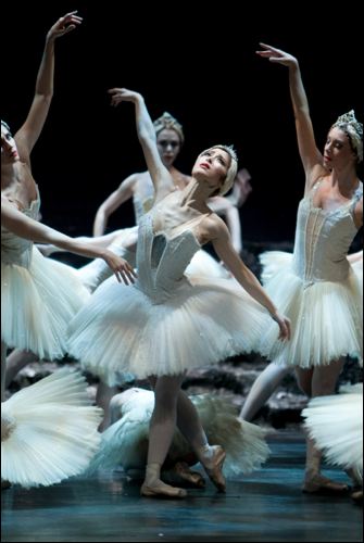 Swan Lake - Nao Sakuma as Odette - photo Bill Cooper