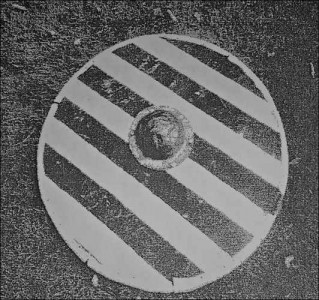 Viking costume shield