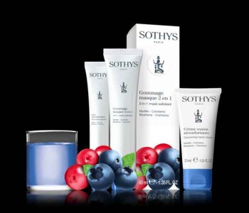 xmas COMPO_PACKS_+_FRUITS_Myrtille_Cranberry