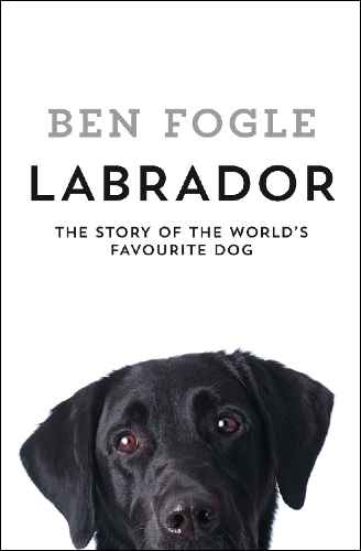 Labrador cover
