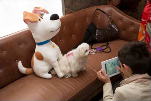 The Secret Life of Pets Kevin Hart London Mums magazine 100