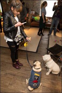 The Secret Life of Pets Kevin Hart London Mums magazine 187