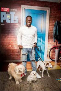 The Secret Life of Pets Kevin Hart London Mums magazine 376