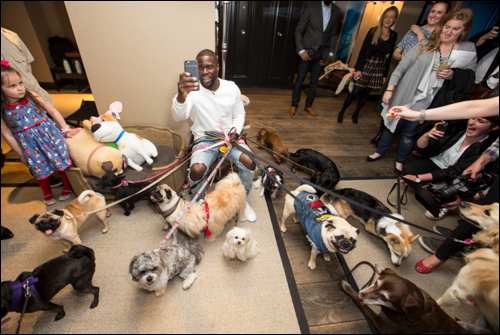 The Secret Life of Pets Kevin Hart London Mums magazine 563