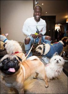 The Secret Life of Pets Kevin Hart London Mums magazine 602