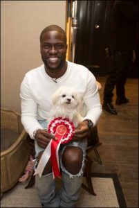 The Secret Life of Pets Kevin Hart London Mums magazine 651