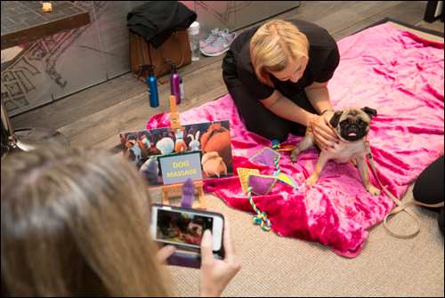 The Secret Life of Pets Kevin Hart London Mums magazine 84