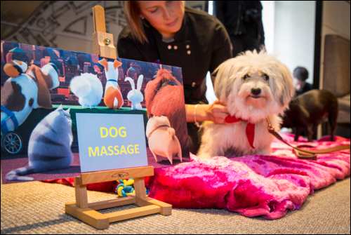 The Secret Life of Pets Kevin Hart London Mums magazine_126