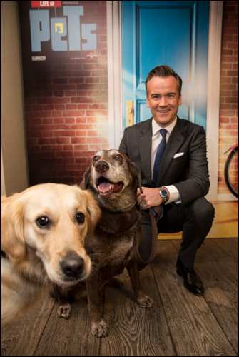 The Secret Life of pets film rosewood hotel dogs