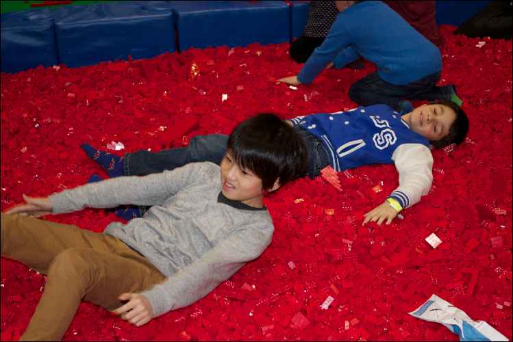 brick lego show bricks pits