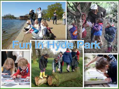 Fun in Hyde park collage