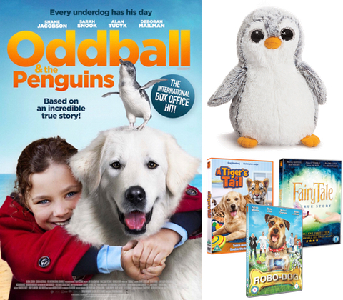 competition Oddball_bundle