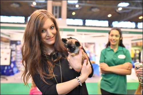 National Pet Show 2015 (1)