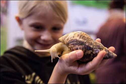 National Pet Show 2015 (10)