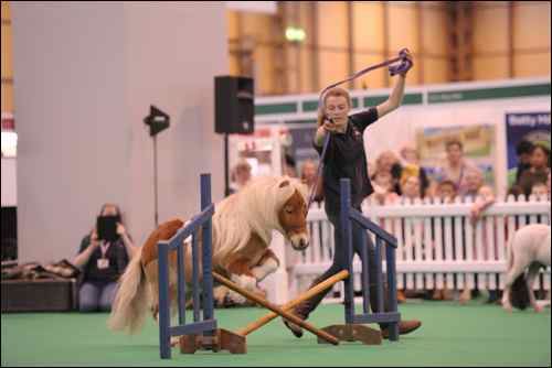 National Pet Show 2015 (14)