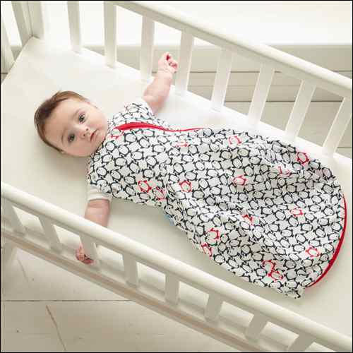 Penguin Pop_Gro-snug2