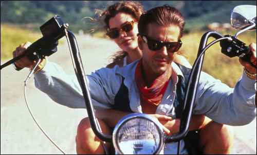 wild_orchid_still_02_23399251739_o