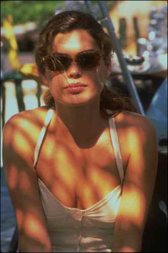 wild_orchid_still_03_23767179455_o