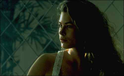 wild_orchid_still_04_23139011774_o