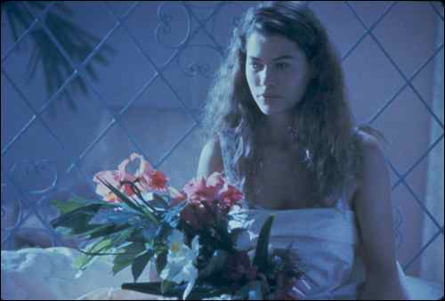 wild_orchid_still_05_23139008654_o