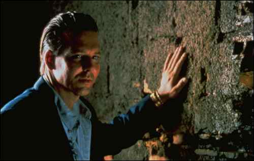 wild_orchid_still_06_23399234559_o