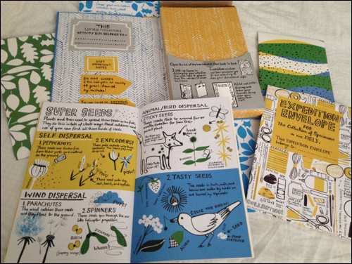 nature art books open showcase