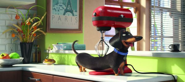 Secret Life Of Pets pic 1