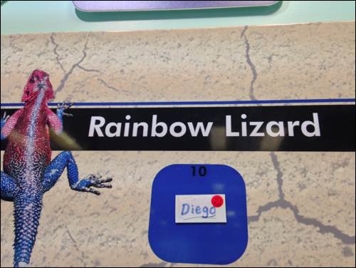 Tutoring to support children's preparation for entry tests like 11 plus exams explore learning 4