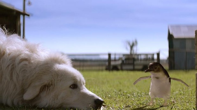 dogs in films Oddball and the Penguins