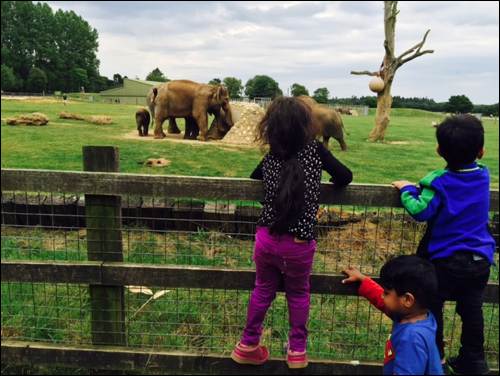 school entrance assessments farm 2