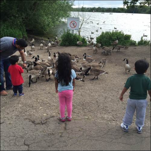 school entrance assessments park kids