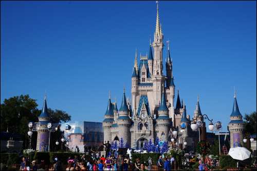 travel with kids walt disney world landscape