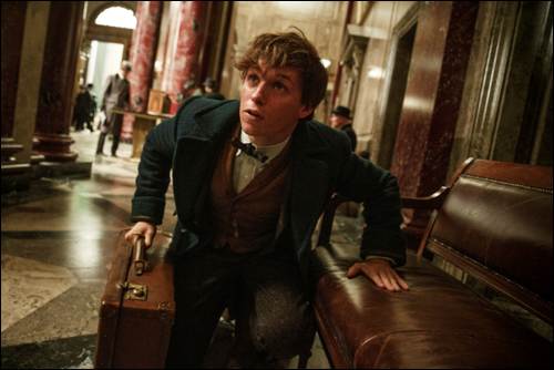 Fantastic Beasts and Where to Find Them FB-01108A