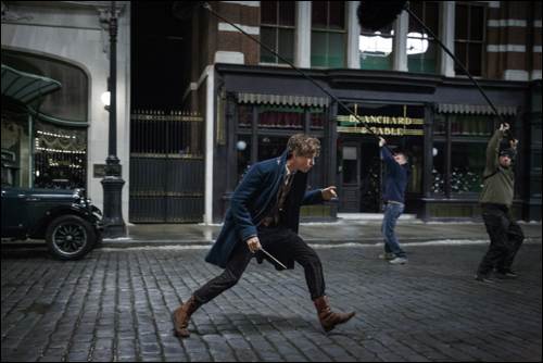 Fantastic Beasts and Where to Find Them FB-JB-01216